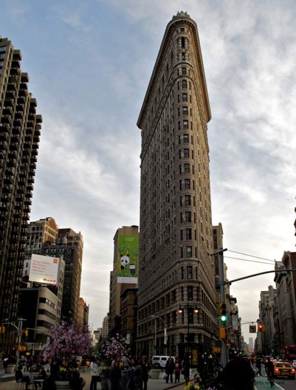 http://www.herpeton.fr/files/gimgs/th-10_28_nyc9.jpg