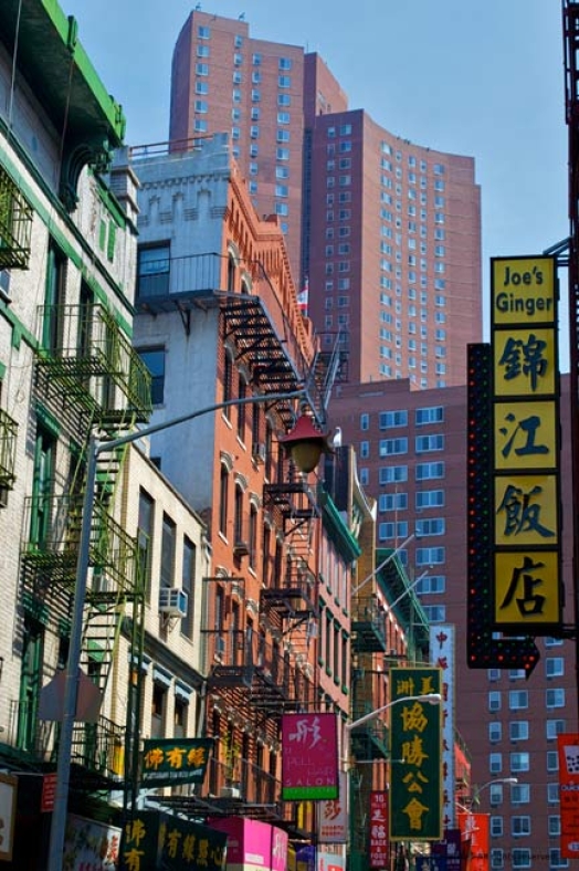 http://www.herpeton.fr/files/gimgs/th-10_28_nyc2.jpg
