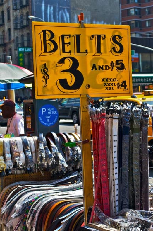 http://www.herpeton.fr/files/gimgs/th-10_28_nyc6.jpg