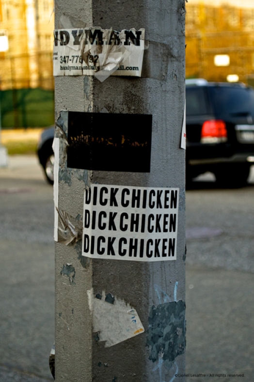 http://www.herpeton.fr/files/gimgs/th-10_28_dsc2320---version-2.jpg