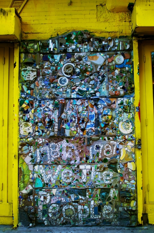 http://www.herpeton.fr/files/gimgs/th-10_28_dsc2525---version-2.jpg