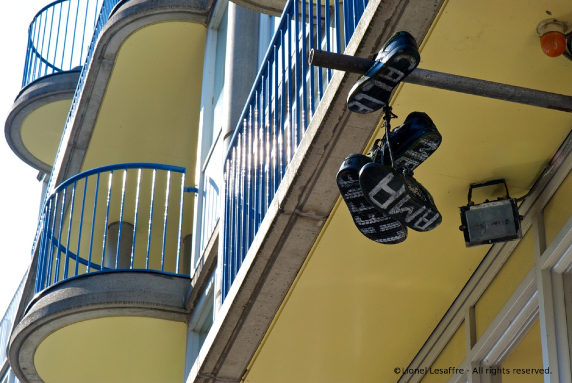 http://www.herpeton.fr/files/gimgs/th-11__DSC3084_-_Version_2_copie.jpg