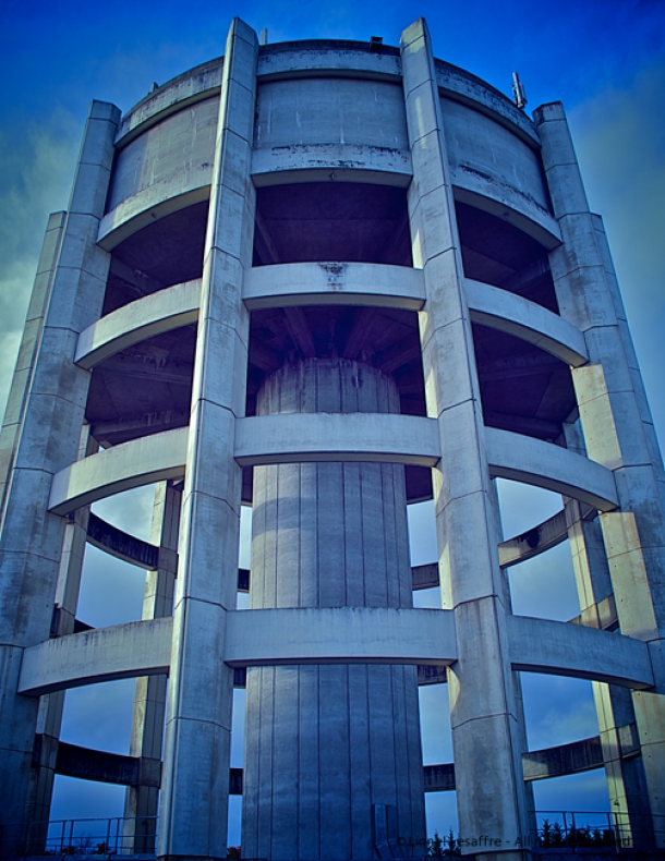 http://www.herpeton.fr/files/gimgs/th-7__DSC7193---Version-3.jpg