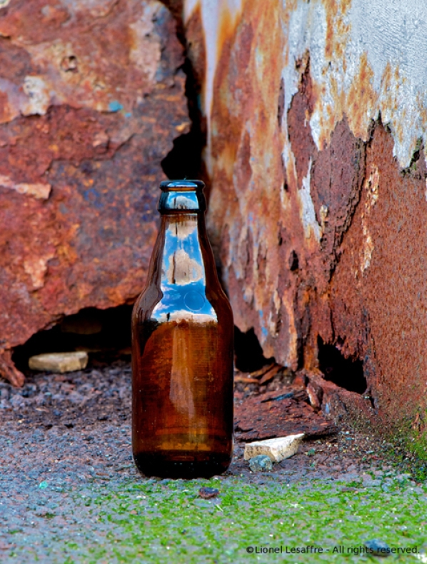 http://www.herpeton.fr/files/gimgs/th-7_16_-sky-bottle-ret.jpg