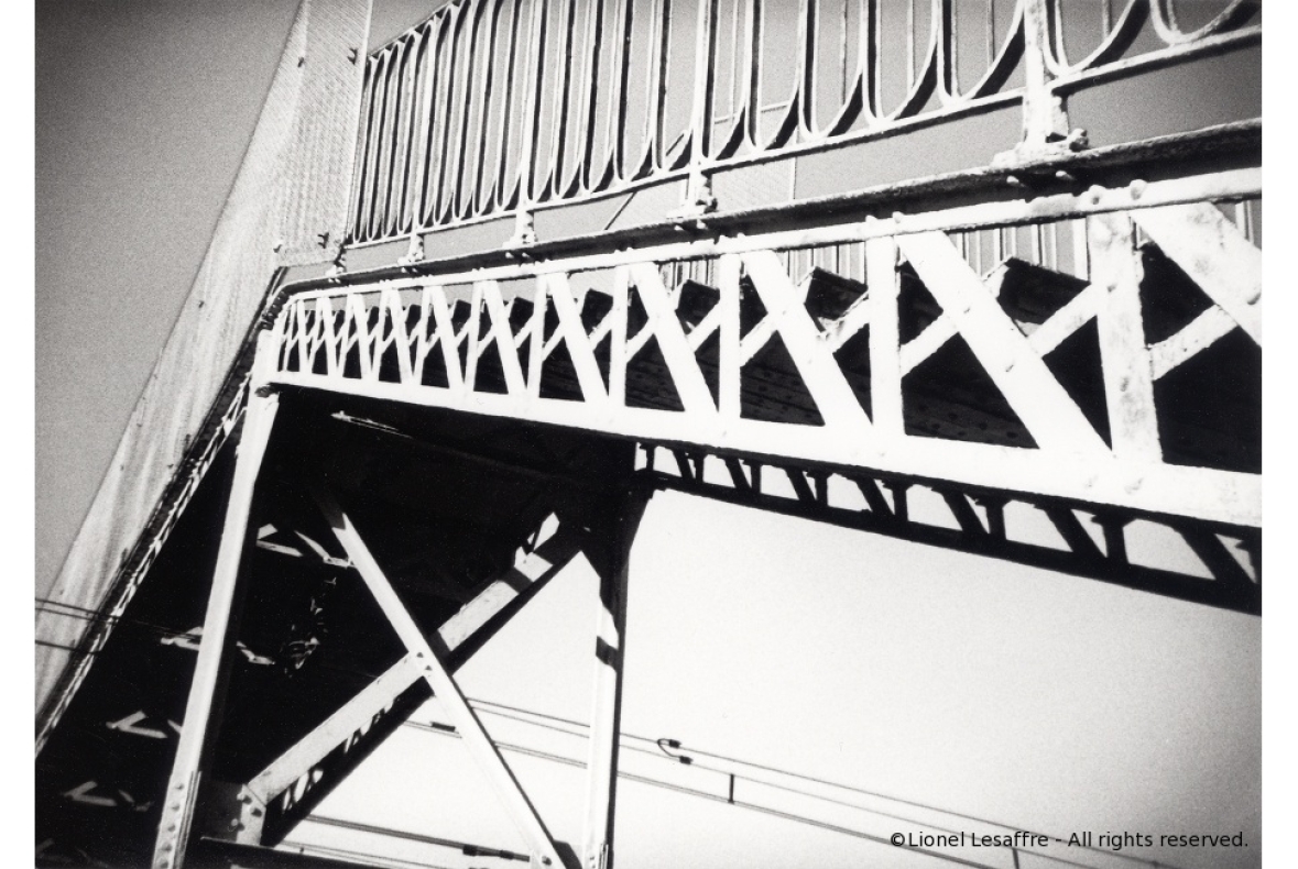http://www.herpeton.fr/files/gimgs/th-8_33_bridge-blog-1.jpg